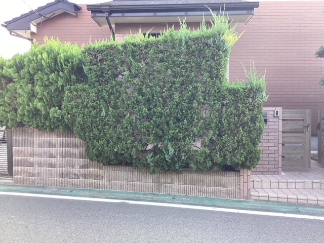 さくらエステート 大牟田店の生垣からフェンスにしてスッキリです。の施工前の写真2